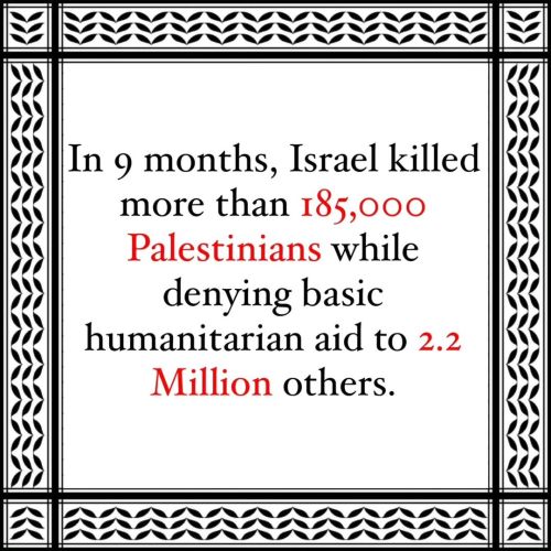 9 Months Of Genocide
