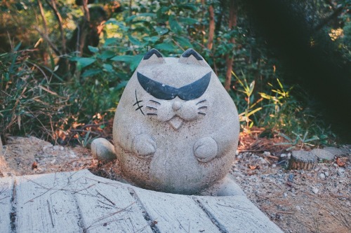 harpoonn:Cool cat somewhere in the hills of Onomichi, Hiroshima.