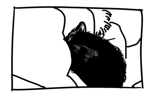 melontoyo:also: cat