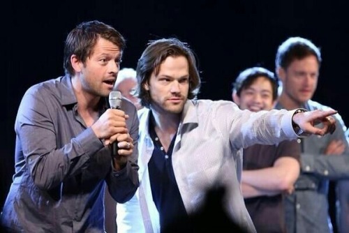 the-seriesjunkie:  SUPERNATURAL - JIB CON 2014