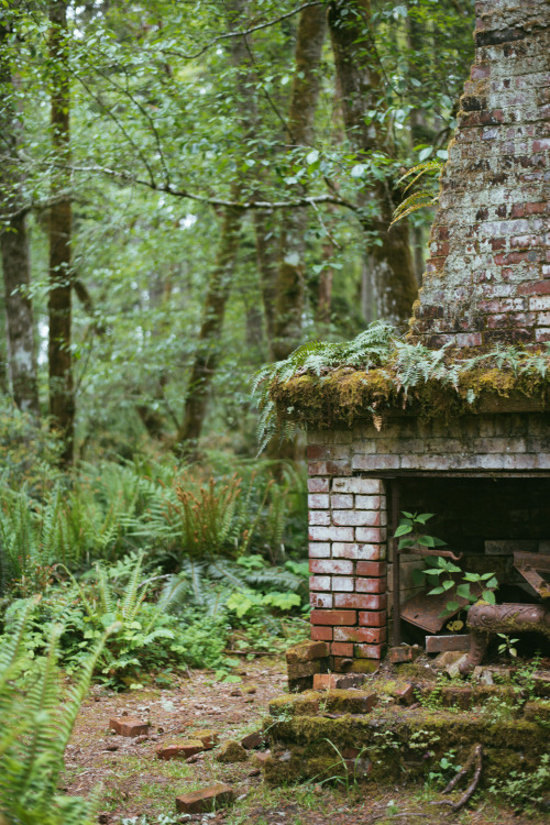 millivedder:  Anderson Island, WA