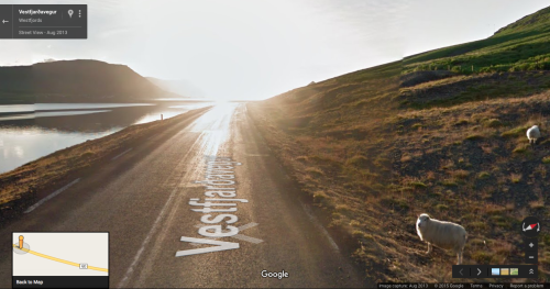 googlesheepview:golden hour sheep in Westfjords, IcelandSubmitted by Hanna