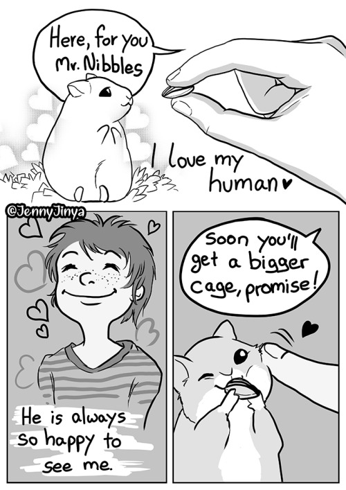 CW: animal neglectCan we talk about hamsters? ;_;Webtoons