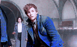 thesafesthands:  I’m here to help you, Credence. I’m not here to hurt you.