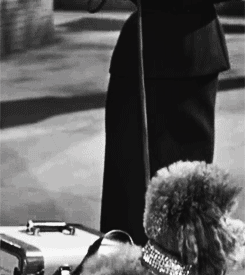 lyastarks:  Audrey Hepburn’s outfits in Sabrina. Costume design by Edith Head and
