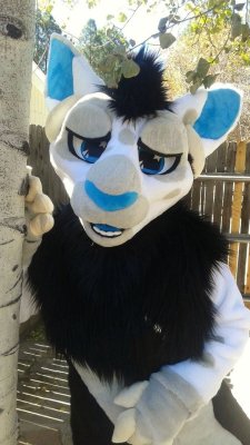 fursuitpursuits:RT @StarryeyedSheep: Nezbit the sleepy sheep, though look at all these other expressions! @ThePhoenixNest_ https://t.co/Ow3Mj3rbUC (Source)