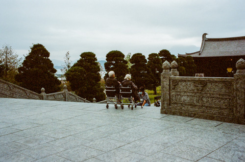 Tsz Shan Monastery, Hong Kong, Mar 2021