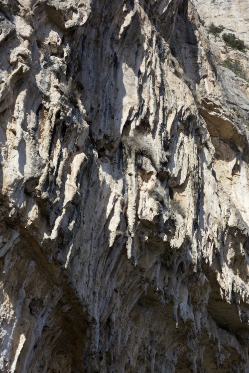 la grotta era il nome rubato, indicato dal costruttore, per quella che aveva chiamato casa, ingentil