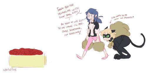 spatziline:but what about “Marinette is not a Ladybug”