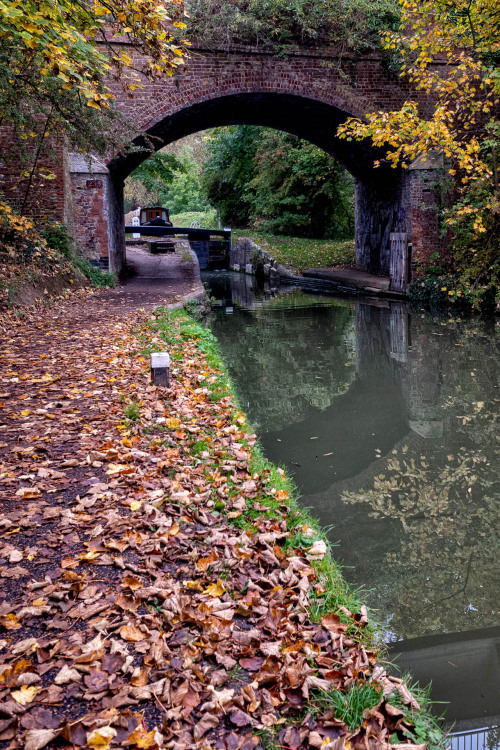 oxfordbybicycle