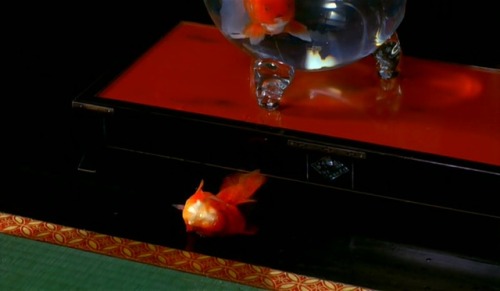 Don’t you know you can’t survive out of your bowl?Goldfish in SAKURAN/ さくらん (2007), Mika