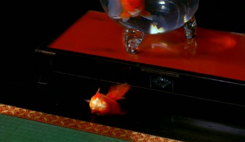 Don’t you know you can’t survive out of your bowl?Goldfish in SAKURAN/ さくらん (2007), Mika Ninagawa