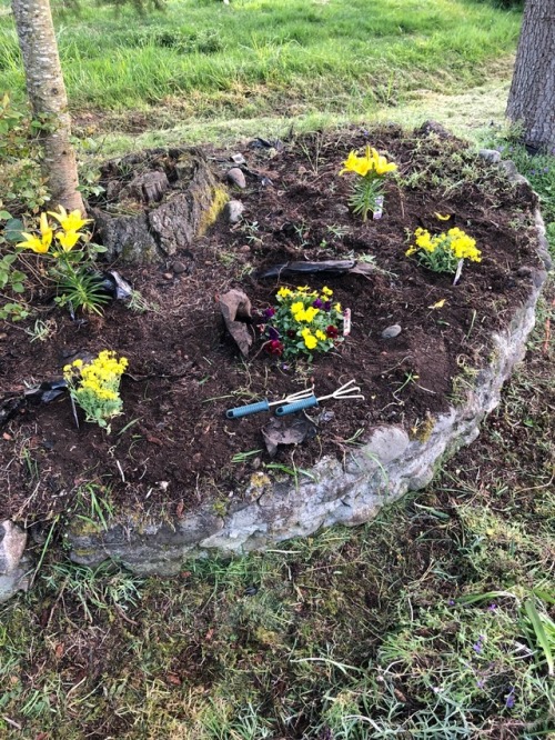 Put in a bunch of work on the yard today in memory of mom , turned the sadness into work. Planted some yellow for her ❤️