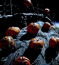 frankensteinsbrides:Pumpkins scream in the dead of night.