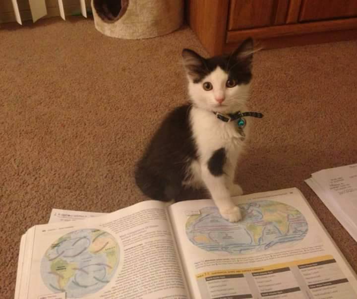 imponuar:  Momento tierno del día.