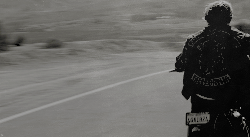 junkfucks:  one more drink, a nervous breakdown, then another war. on the blessed hell ride. 