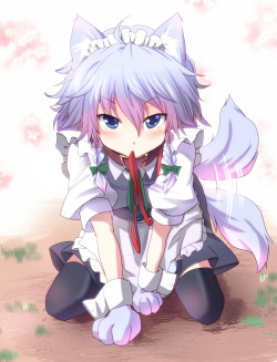 Much Love For Inu Sakuya, The Loyal And Faithful Kemonomimi Mode Version Of Sakuya