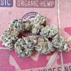 weedporndaily:  #gorillabreath #⃣2️⃣