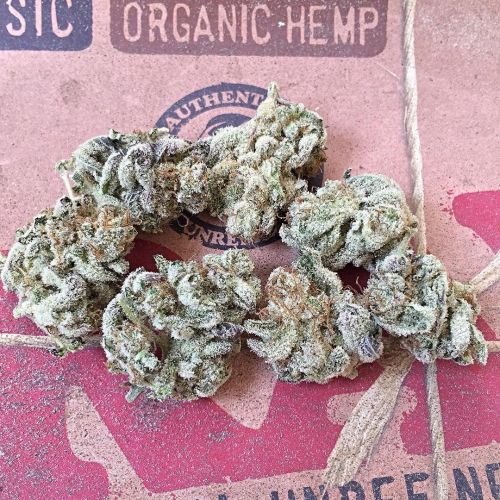 weedporndaily:  #gorillabreath #⃣2️⃣ adult photos