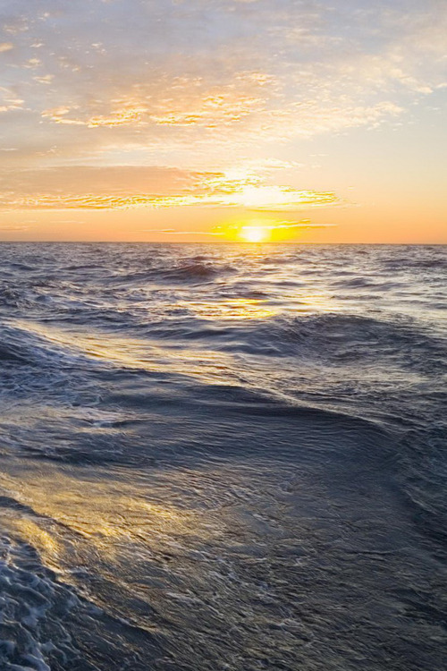 plasmatics-life:  By Jeky ♥