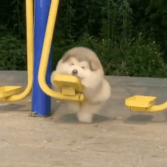 starrynightstims:He swingin