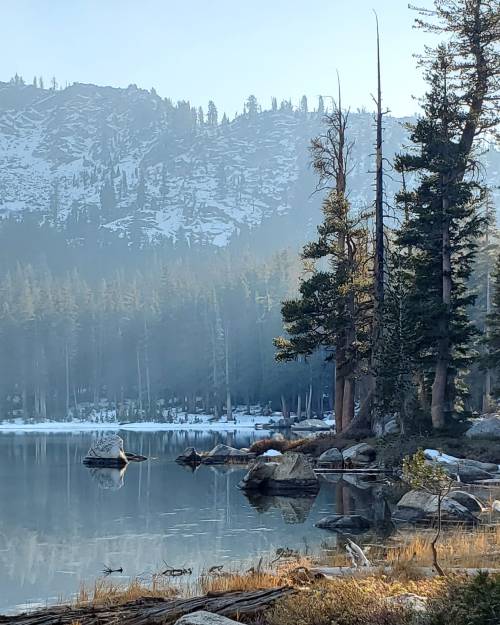 amazinglybeautifulphotography: Nothing but silence, Sierra National Forest, CA, USA [OC] [1908x2385]