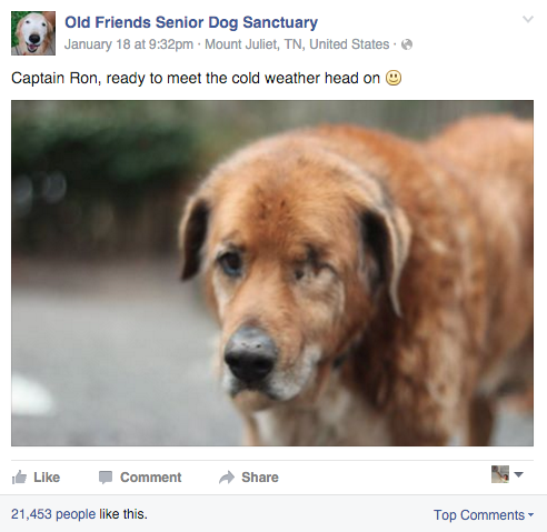 bunnybonescomics:  powerjock:  leafcrunch:  i would trust captain ron with my life