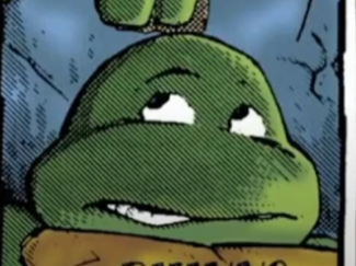 Mirage Turtles Without Masks >>>>