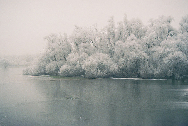 lyricalsycamore:  Frozen World by stephanlo1 on Flickr.