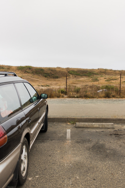 Visiting Spencer in Fort Bragg, CAPhotographed by Codi Ann Thomsen