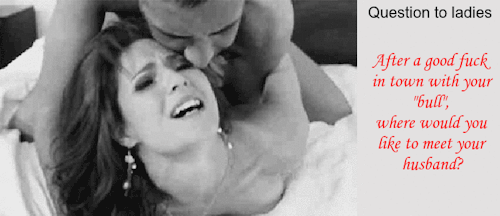 thebullofyourwife:  Can wives {and husbands) answer ?