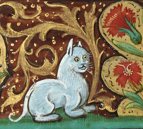 catsbeaversandducks: 10 Ugly Medieval Cat Paintings That Will Speak To Your Soul More on BuzzFeedt