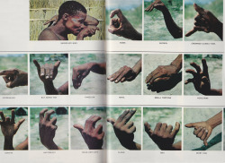 autosafari:  Hand-signed communiqués of Bushmen warriors on the hunt; these signals are used for uniquely identifying the various threats and game in an area.Photos by Irven DeVore, 1965