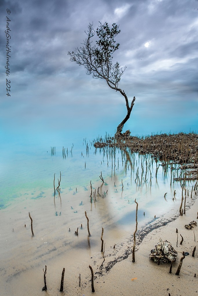 sublim-ature:  Hastings River, AustraliaAndy Smith