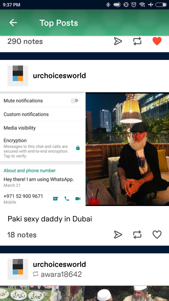 Tumblr media