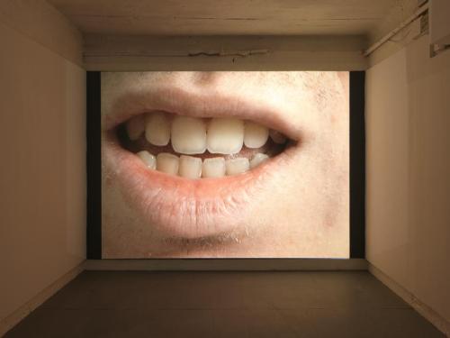 Katarina Zdjelar, The Perfect Sound, 2009
