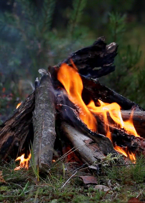 oliviatheelf:  awesomephilia:  Everyone needs a warm campfire on their blog  ॐMy