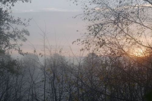 mezzanin:Im Nebel ruhet noch die Welt,Noch träumen Wald und Wiesen:Bald siehst du, wenn der Schleier