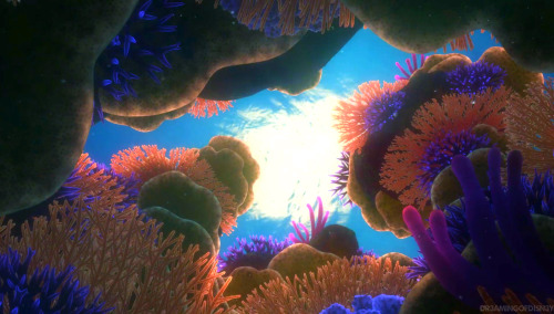 Finding Nemo Scenery