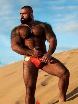 buffbeefybear:  daddys—boy:https://www.facebook.com/TheOriginalBigBullWorship the hairy arab BULL 