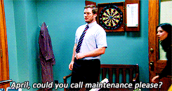 allsonargent:  PARKS AND RECREATION COLD OPENS » 5x17 - Partridge 