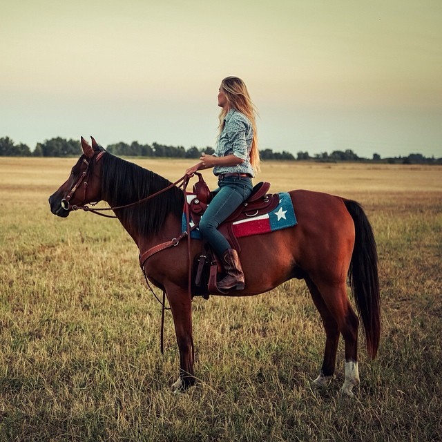 accidentallypatriotic:  Something about this is odd. Horse got flat back, or no withers,