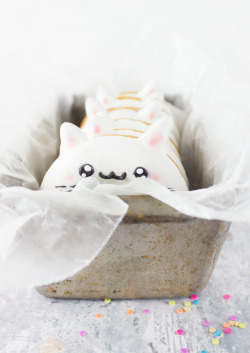 sweetoothgirl:   Kitty Cat Doughnuts