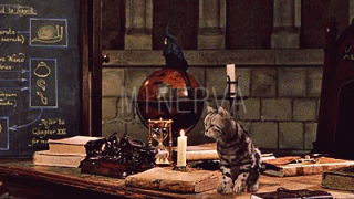 singfromthehair:  “We teachers are rather good at magic, you know.”  