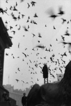 arpeggia:  Sergio Larrain - Trafalgar Square,