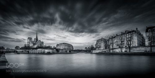 Cathedral Notre Dame of Paris in B/W by fredericmonin24