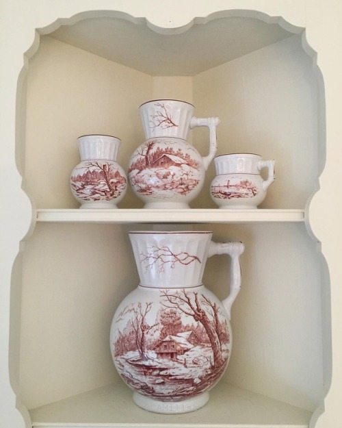 As soon as I walked into the thrift store I saw this collection of Victorian ironstone transferware 