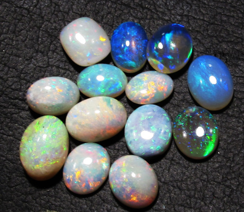 opalauction: Black and Crystal opals from Lightning ridge Australia  which is you favorite