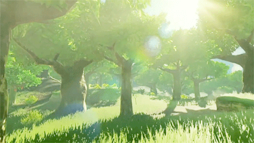 elfzelda: forest