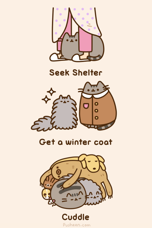 thefrogman:Pusheen the Cat [tumblr | twitter | facebook]